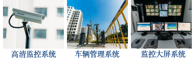 麻豆专区免费观看解決方案